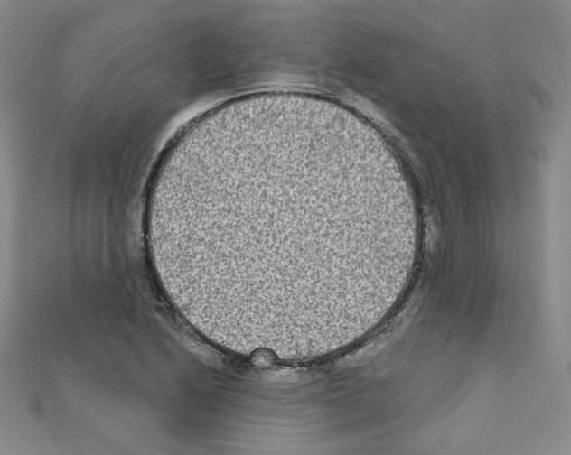 X0000111221222200908131054