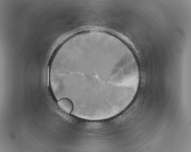 X0000111221223200908131054