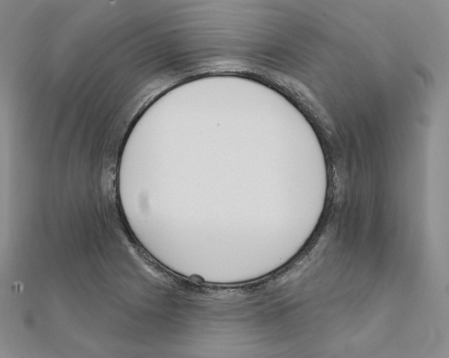 X0000111221225200908131054
