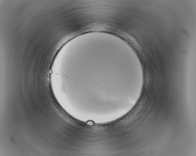 X0000111221226200908131054