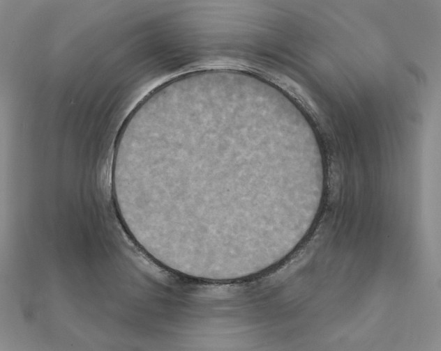 X0000111221228200908131054