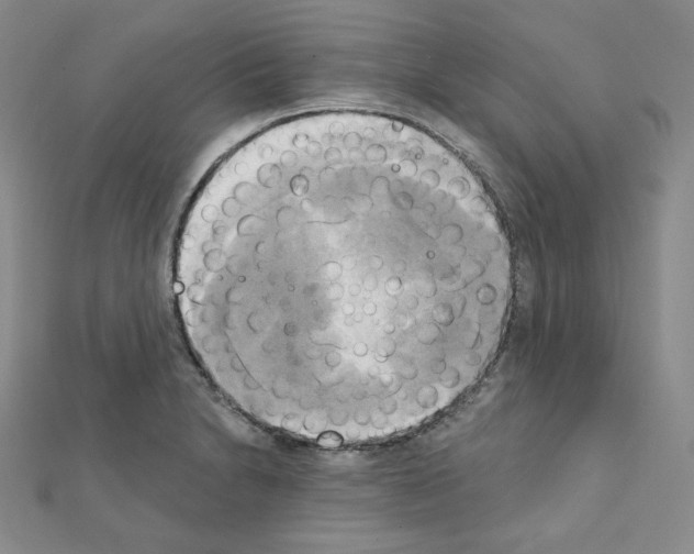 X0000111221230200908131054