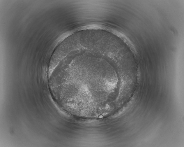 X0000111221233200908131054