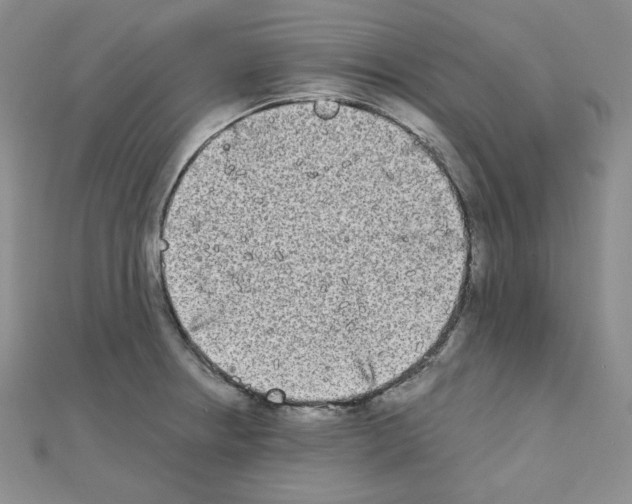 X0000111221234200908131054