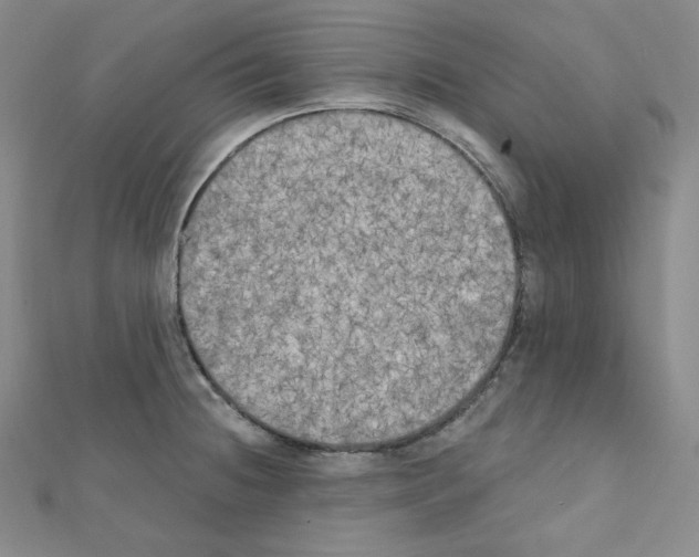 X0000111221236200908131054
