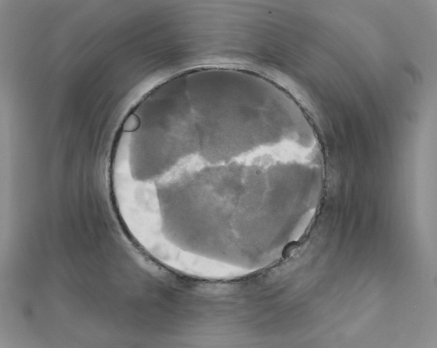 X0000111221237200908131054