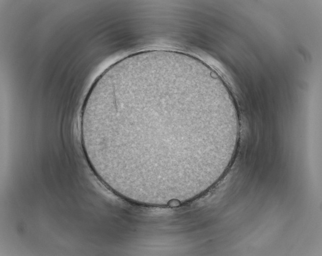X0000111221238200908131054