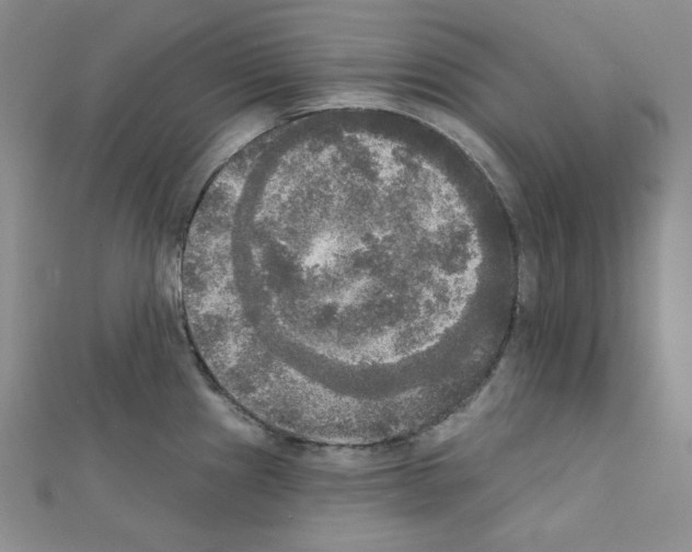 X0000111221241200908131054