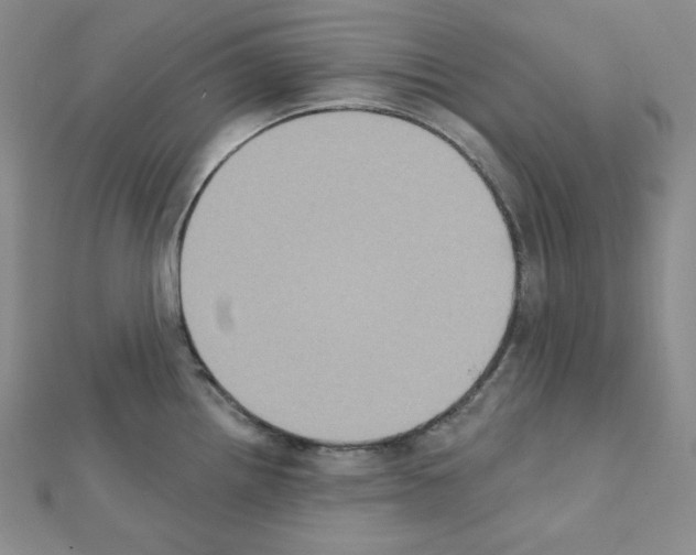 X0000111221242200908131054