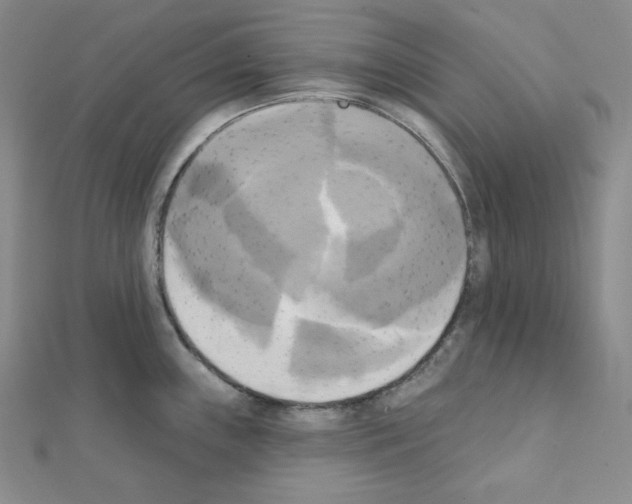 X0000111221243200908131054