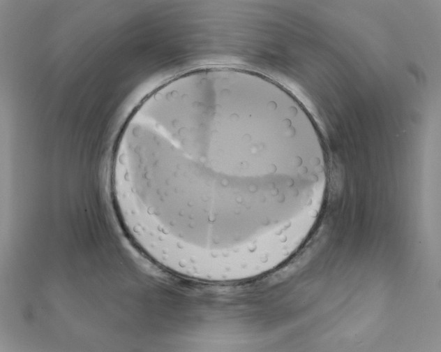 X0000111221245200908131054
