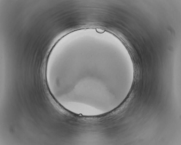 X0000111221246200908131054