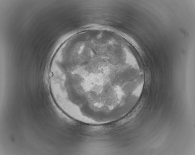 X0000111221247200908131054