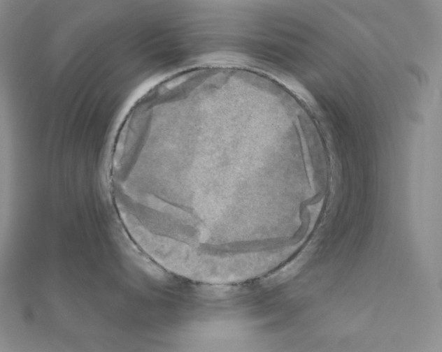X0000111221248200908131054