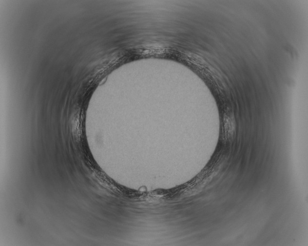 X0000111221250200908131053