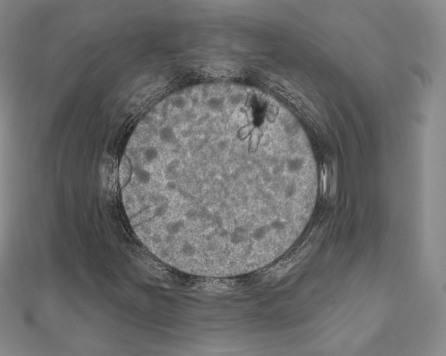 X0000111221251200908131053