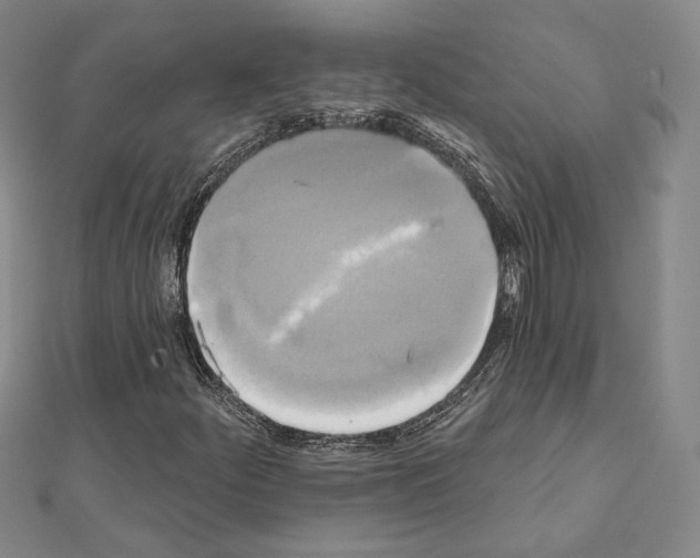 X0000111221252200908131053