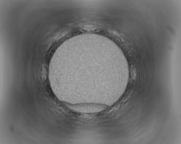 X0000111221253200908131053