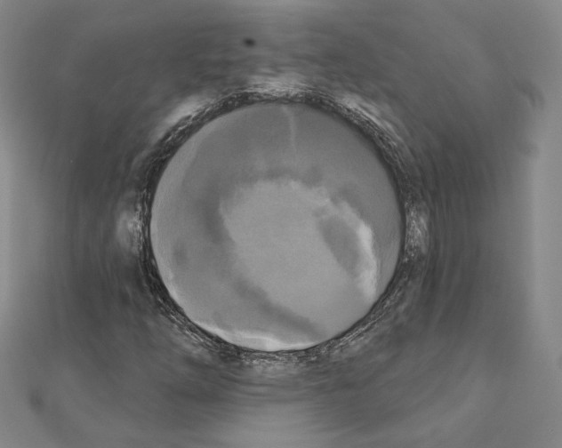 X0000111221254200908131053