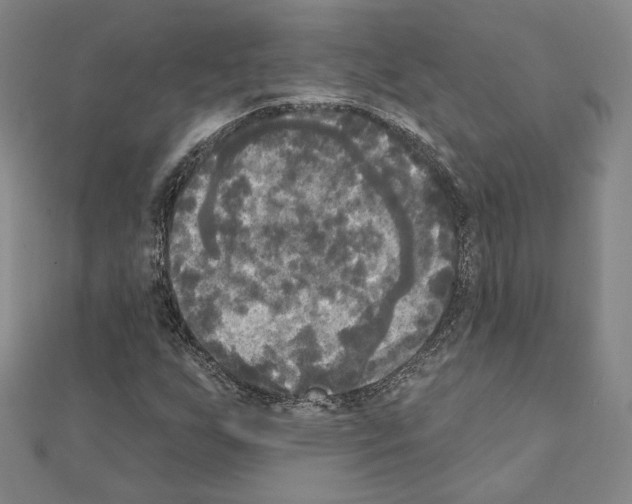 X0000111221255200908131053