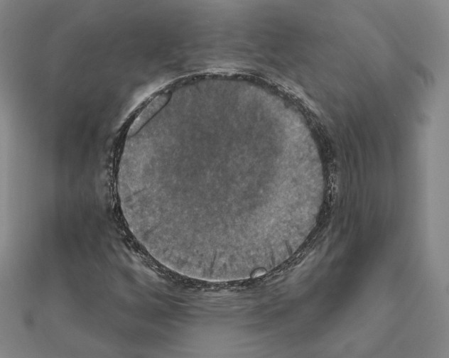 X0000111221256200908131053
