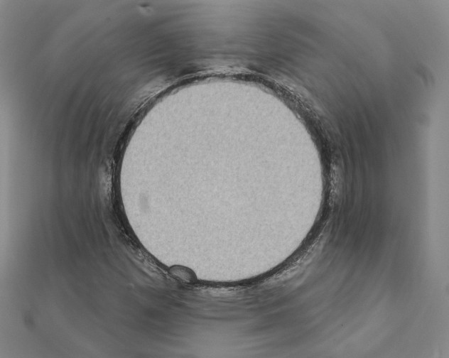 X0000111221257200908131053