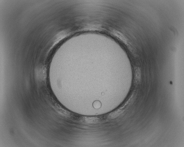 X0000111221258200908131053