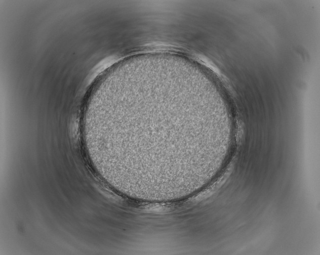 X0000111221259200908131053