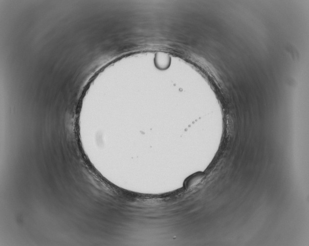 X0000111221260200908131053