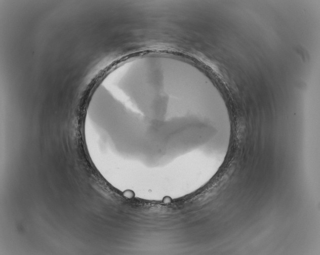 X0000111221263200908131053