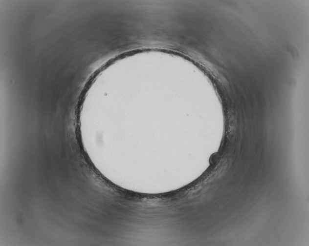 X0000111221264200908131053