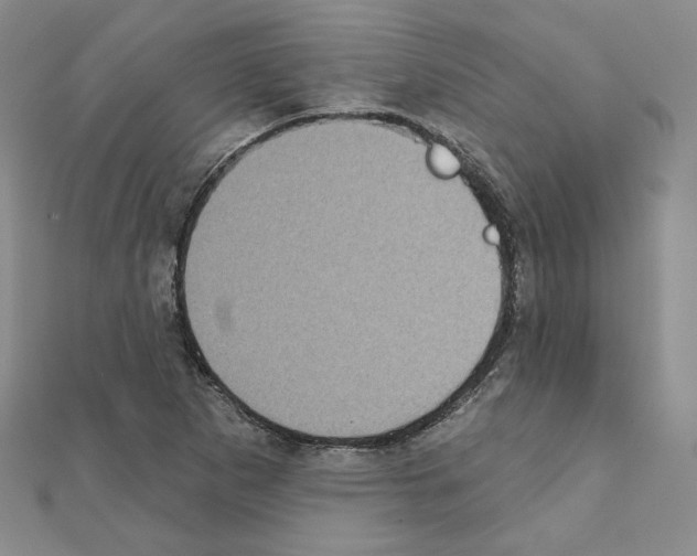 X0000111221265200908131053