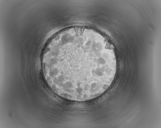 X0000111221267200908131053