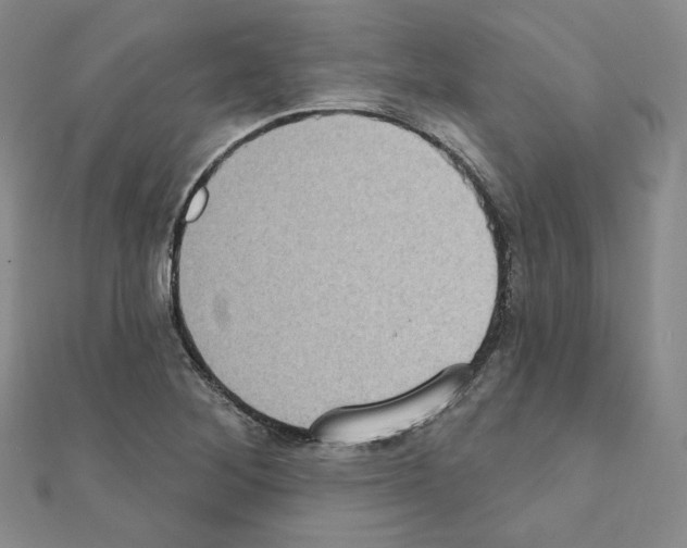 X0000111221268200908131053