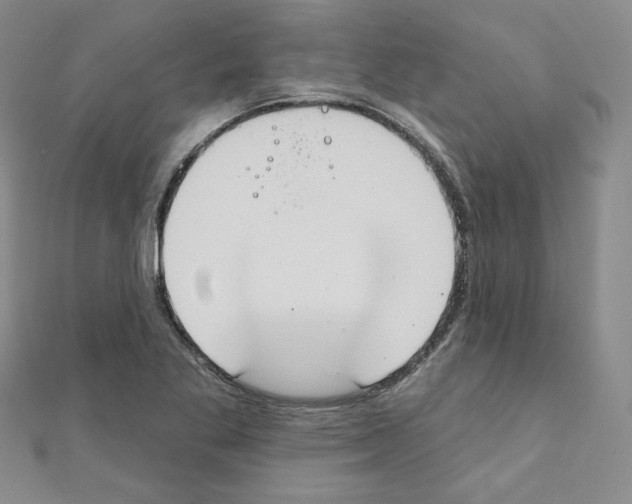 X0000111221269200908131053