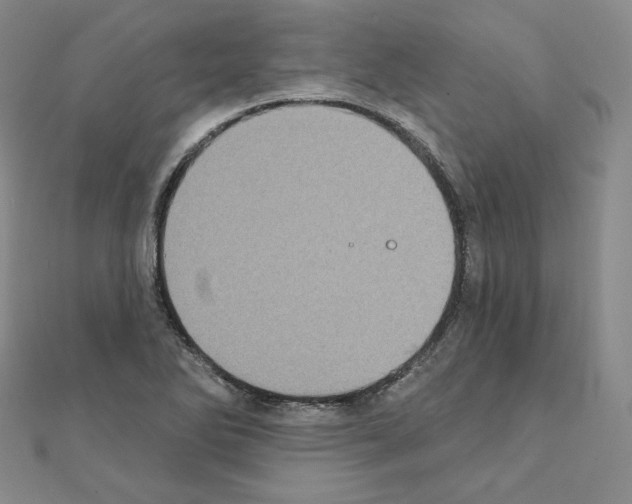 X0000111221270200908131053