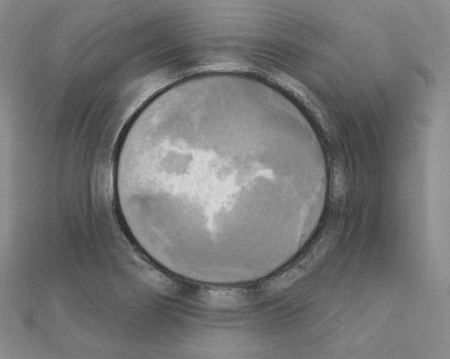 X0000111221274200908131053