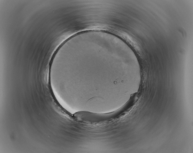X0000111221276200908131053