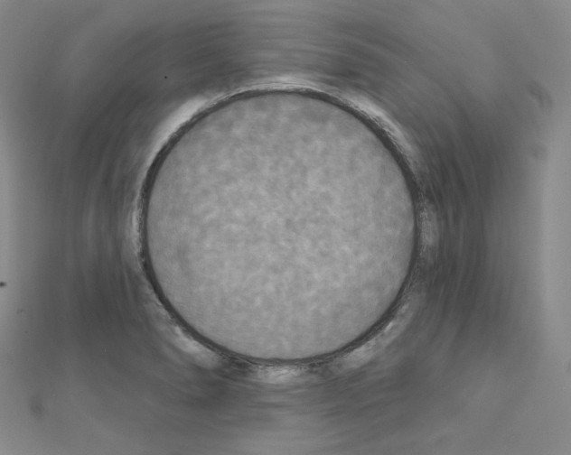 X0000111221278200908131053
