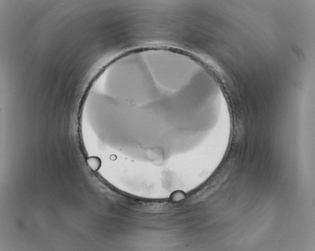 X0000111221279200908131053