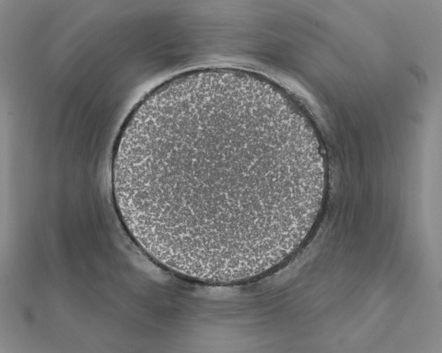 X0000111221280200908131053