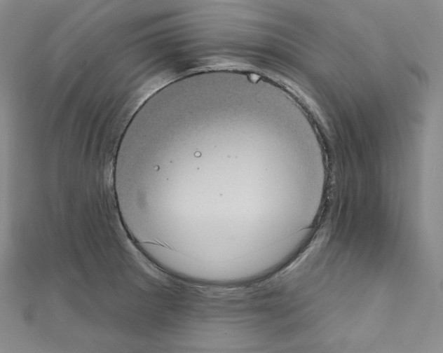 X0000111221281200908131053