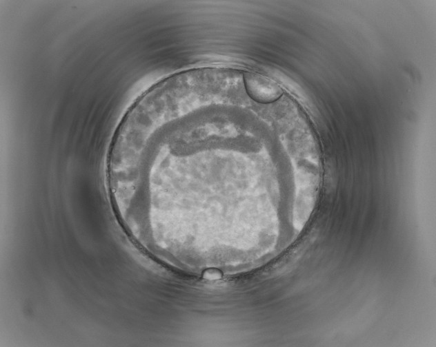 X0000111221283200908131053