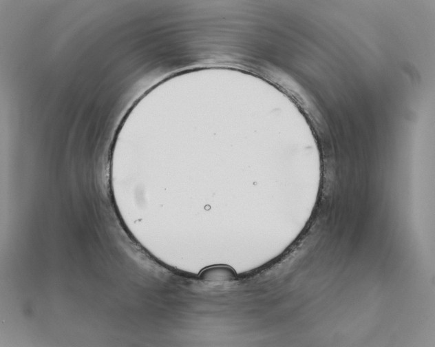 X0000111221284200908131053