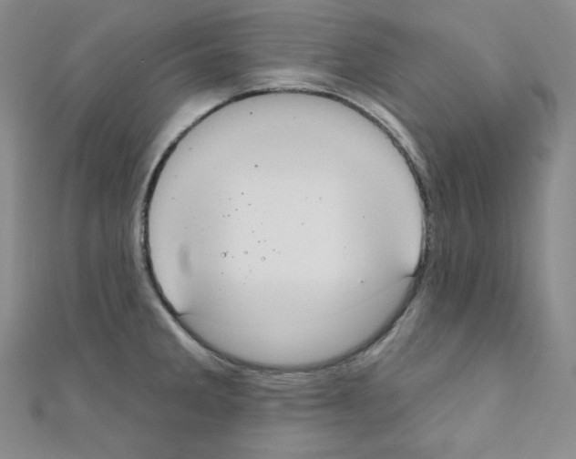 X0000111221285200908131053