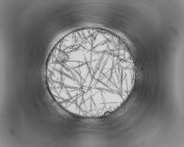 X0000111221287200908131053