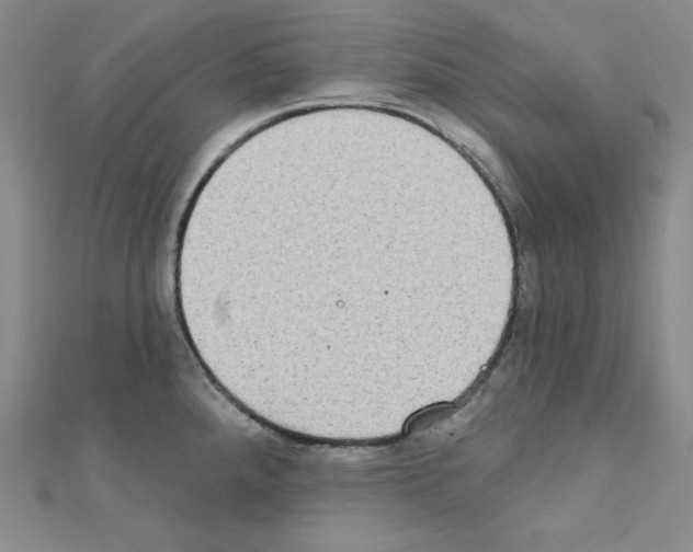 X0000111221288200908131053