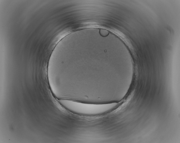 X0000111221289200908131053