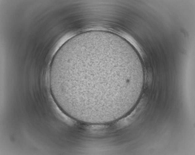 X0000111221290200908131053
