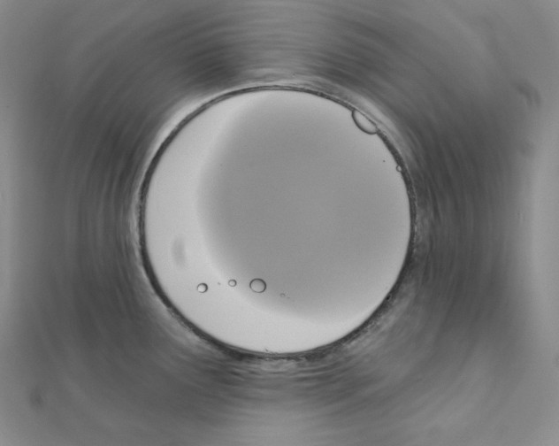 X0000111221291200908131053